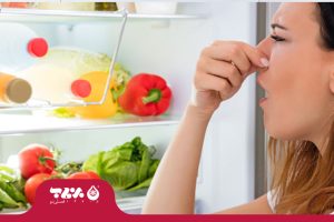 علت بوی بد یخچال