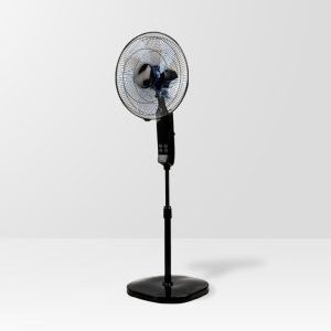 Fan